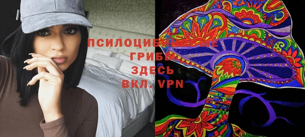 спиды Покровск