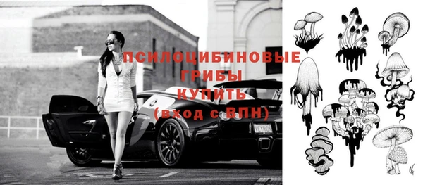 тгк Алексин